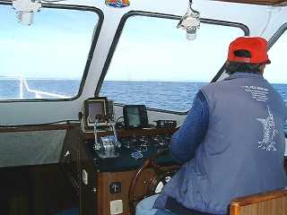 Skipper